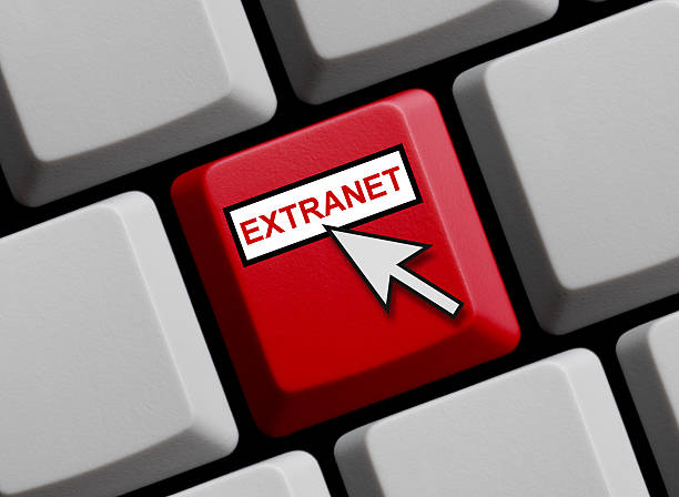 9 Reasons Why Your Business Needs B2B Extranet